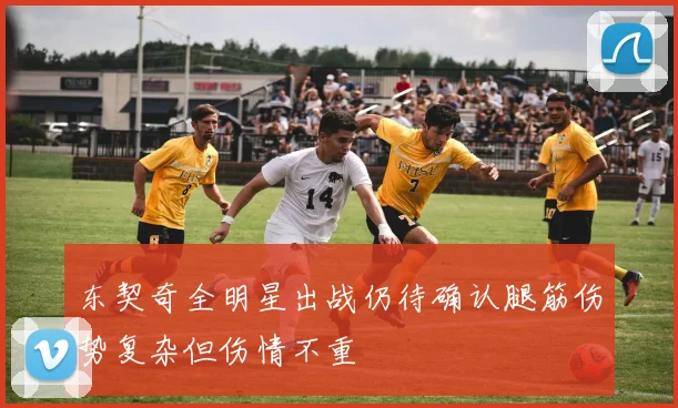 东契奇全明星出战仍待确认腿筋伤势复杂但伤情不重