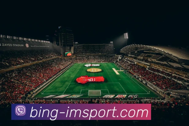 多媒体互动体验